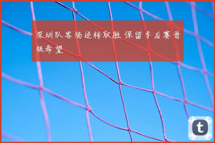 深圳队客场逆转取胜 保留季后赛晋级希望
