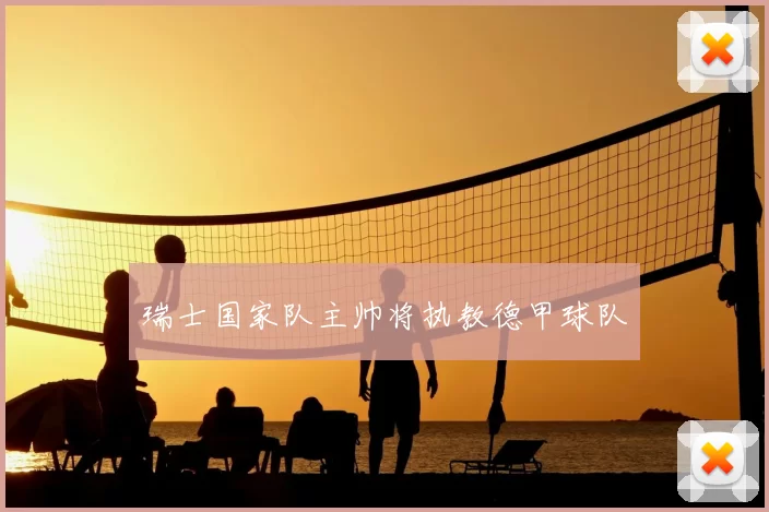 瑞士国家队主帅将执教德甲球队